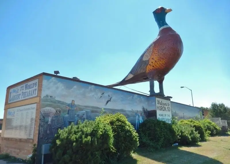 Worlds Largest Pheasant Huron