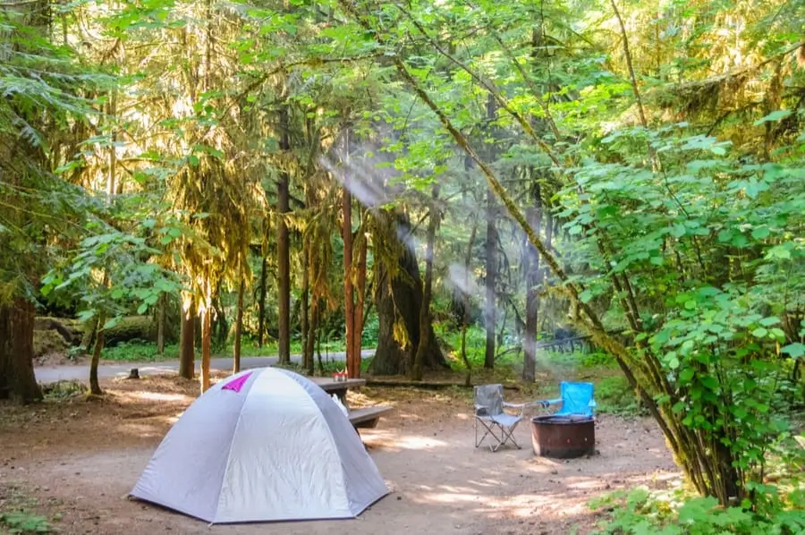 Camping at Mount Rainier National Park
