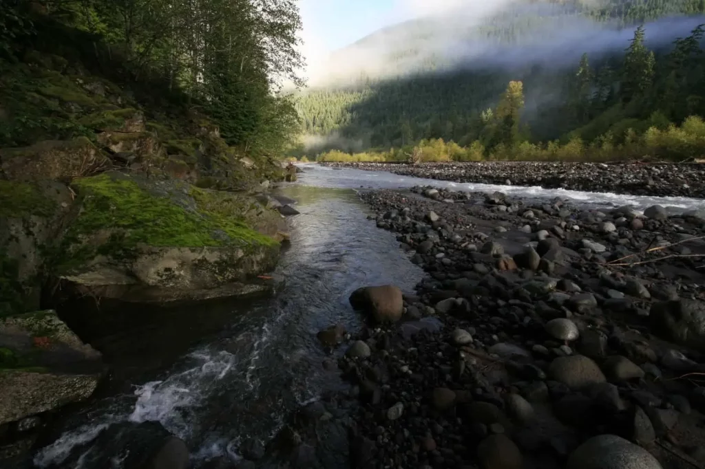 Carbon River and Nisqually Entrances