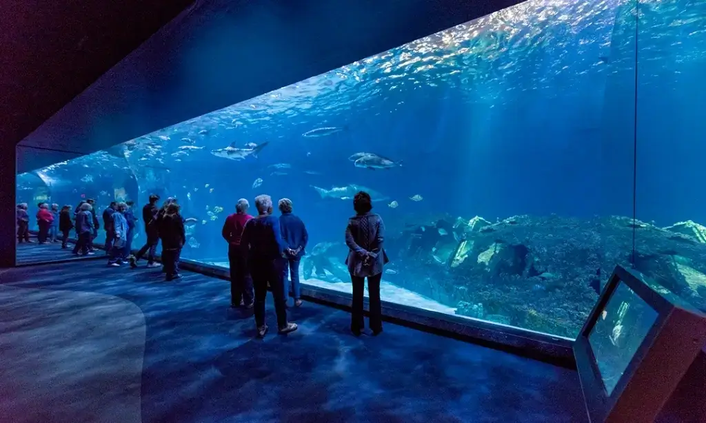 North Carolina Aquariums