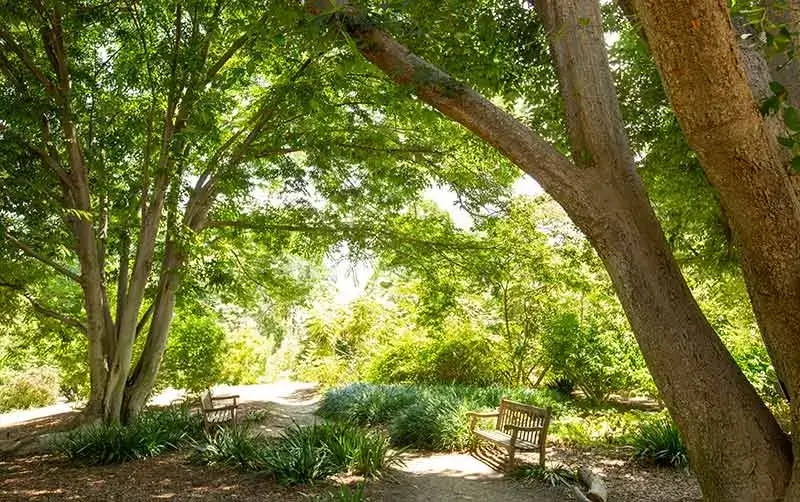 Fullerton Arboretum