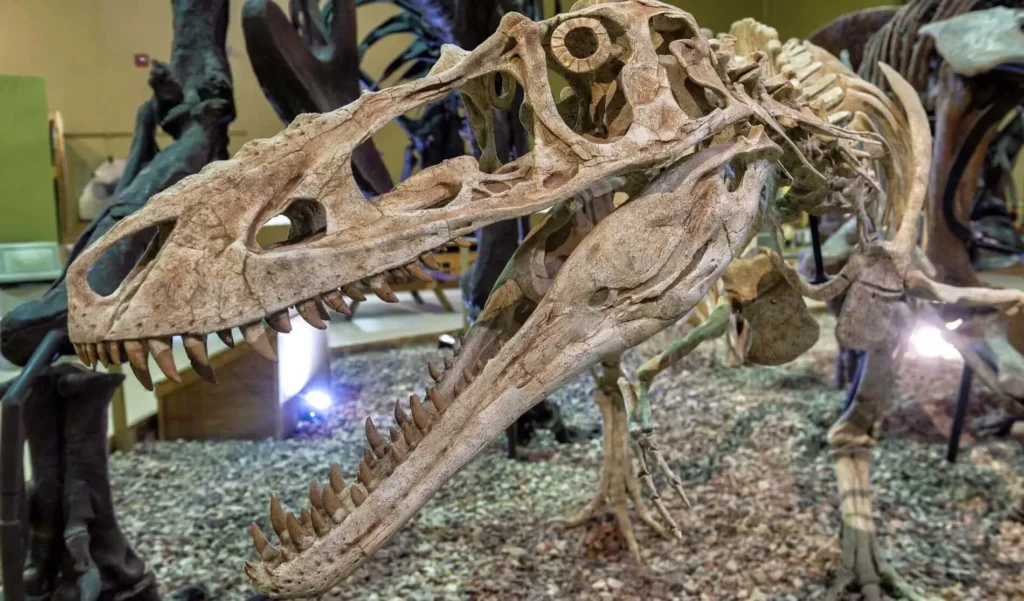 Cody Dinosaur Museum